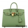 Hermes Birkin 25 Sellier Handmade Bag In Vert Criquet Epsom Calfskin