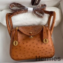 Geanta Hermes Mini Lindy Handmade Din Piele Aurie De Strut