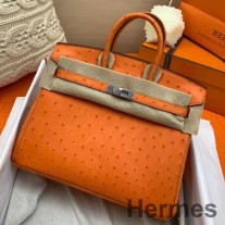 Hermes Birkin 25 Handgefertigte Tasche aus orangefarbenem Straußenleder